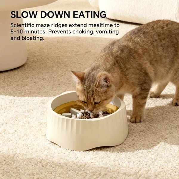 2-in-1 Dual Mode Large Plastic Cat Slow Feeder Bowl, Switchable Fast&Slow Feed - Prime Essentials