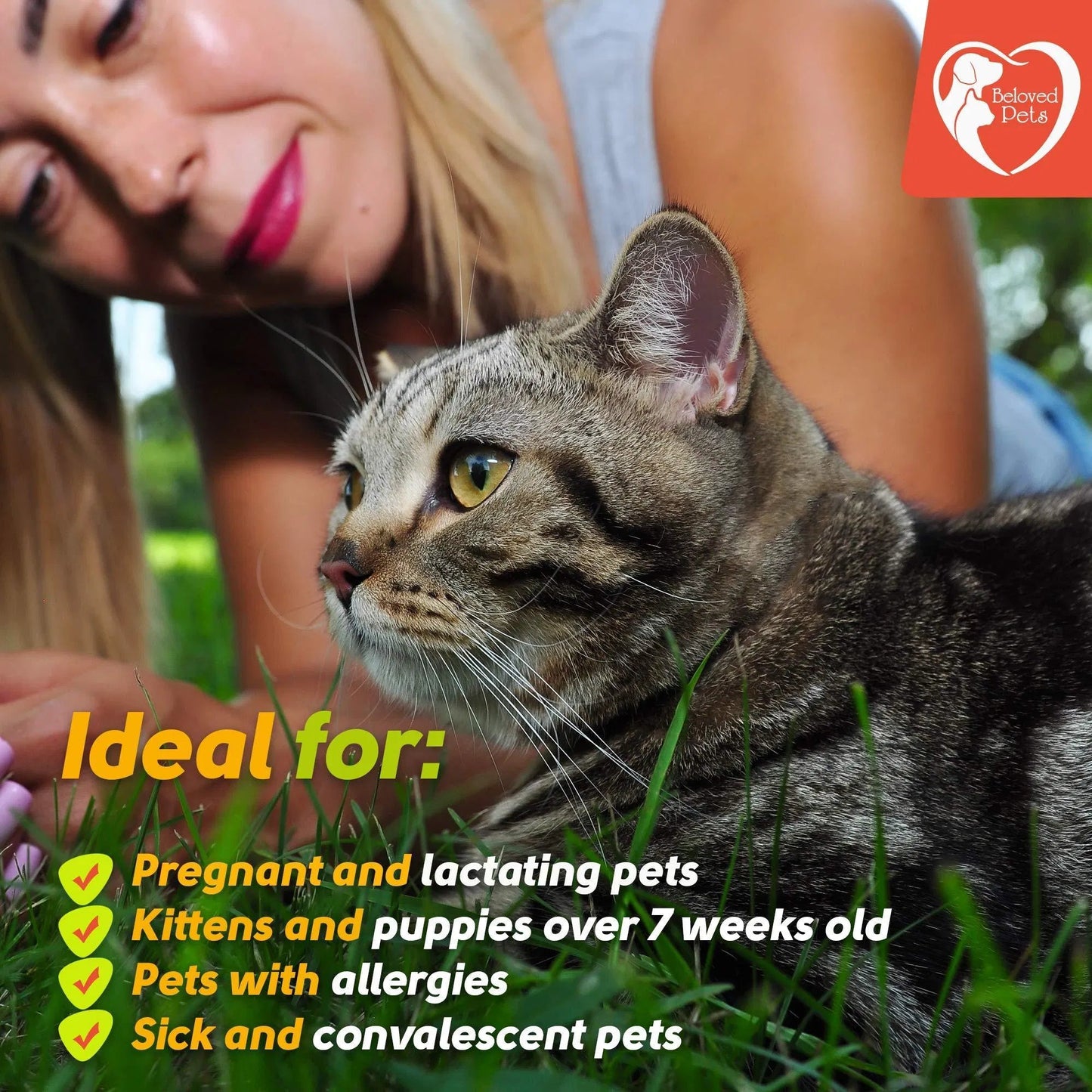 Flea And Tick Prevention For Dogs Cats Rabbits Natural Flea Treatment Home Pest Control Topical Flea Mosquito Repellent For Puppy Kitten 3 Drops For Small And Large Pet - Prime Essentials