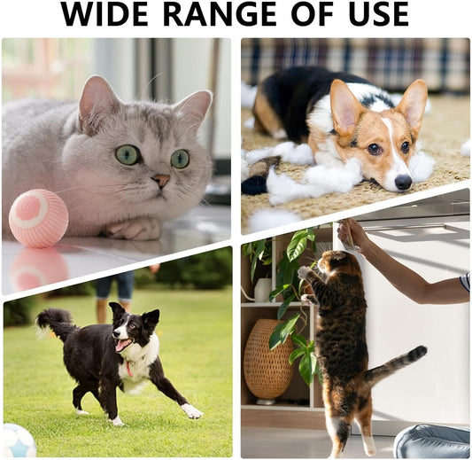 Interactive Rolling Pet Ball for Dogs & Cats - Prime Essentials