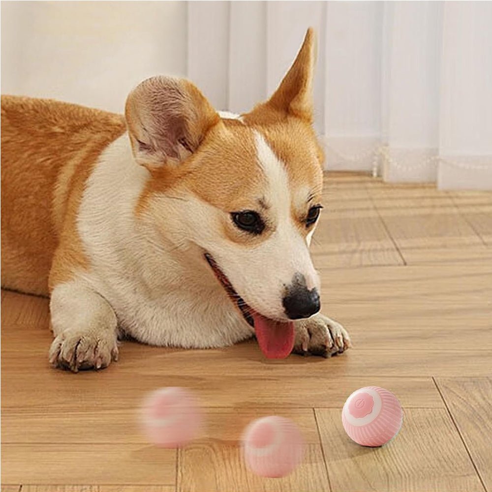 Interactive Rolling Pet Ball for Dogs & Cats - Prime Essentials