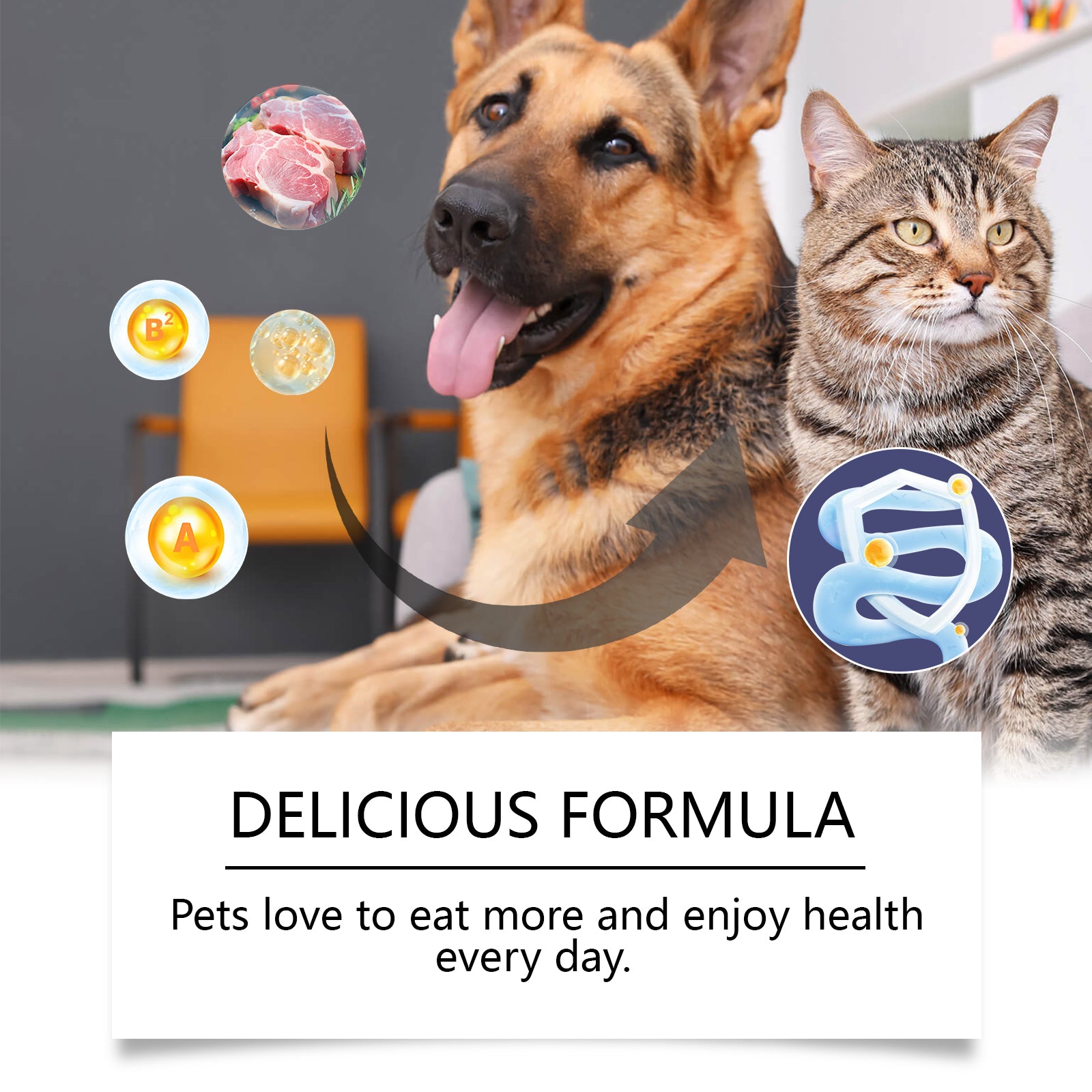 Probiotic Nutrition Tablets for Dogs & Cats - product view 4
