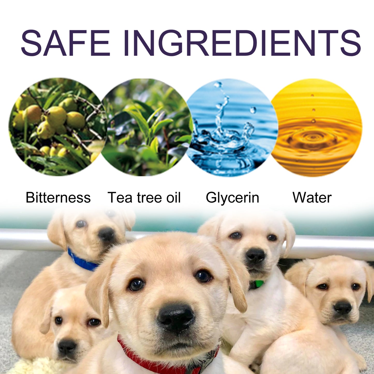Anti-Chew Bitter Spray for Dogs & Pets - product view 6