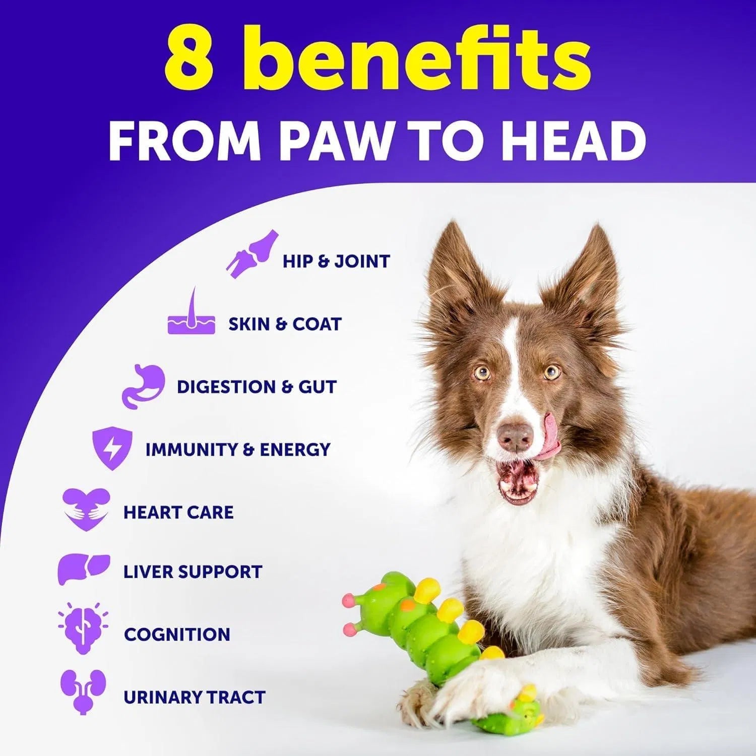 20-in-1 Dog Multivitamin Chews for All Ages - Prime Essentials