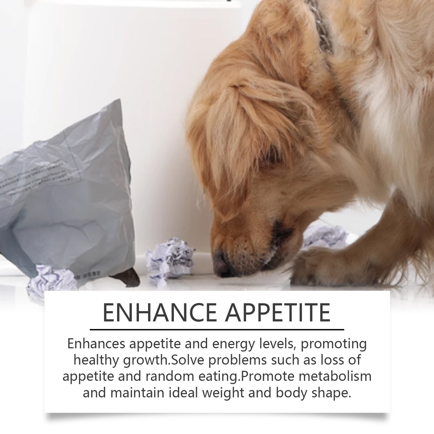Calcium & Magnesium Minerals for Dogs - product view 3
