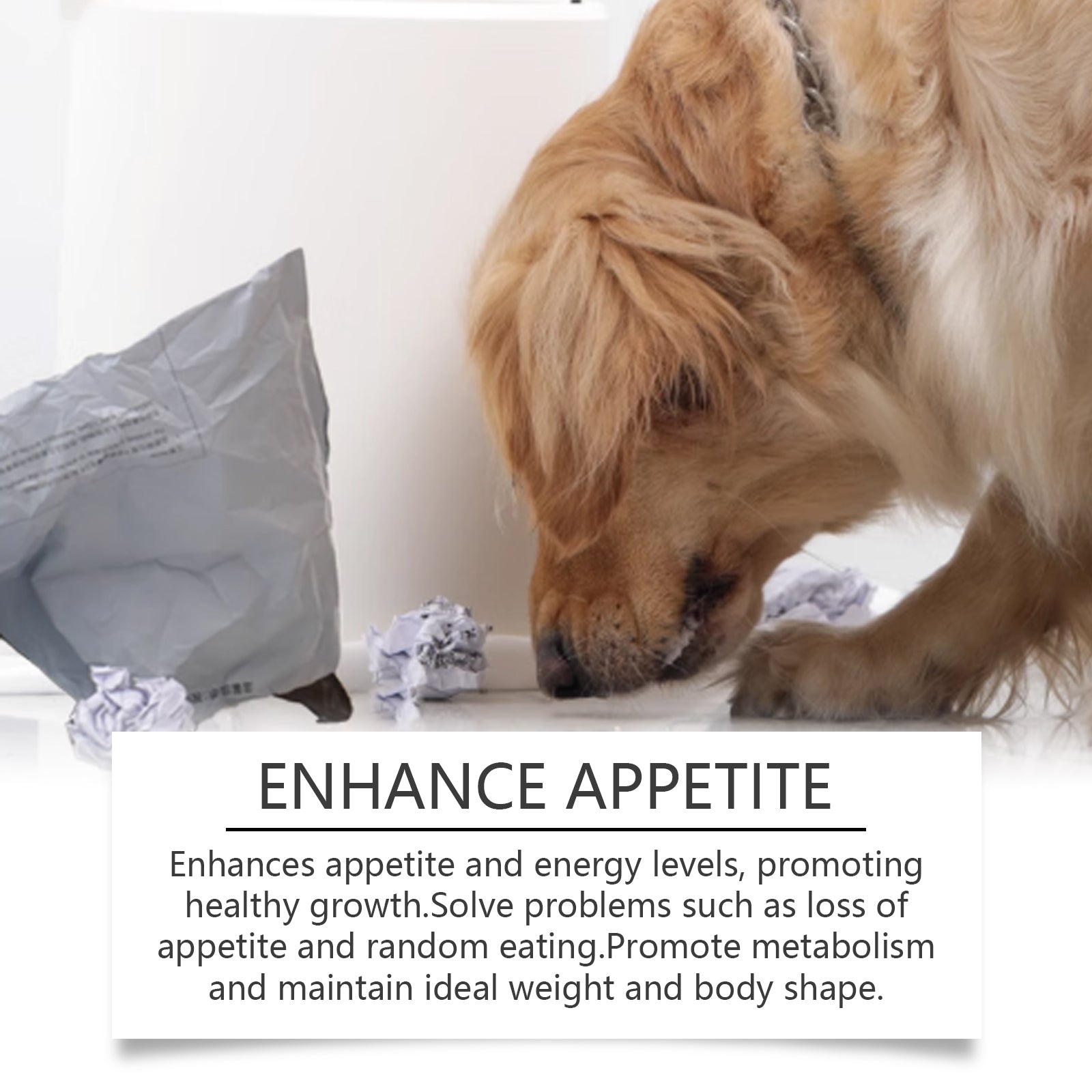 Calcium & Magnesium Minerals for Dogs - product view 3