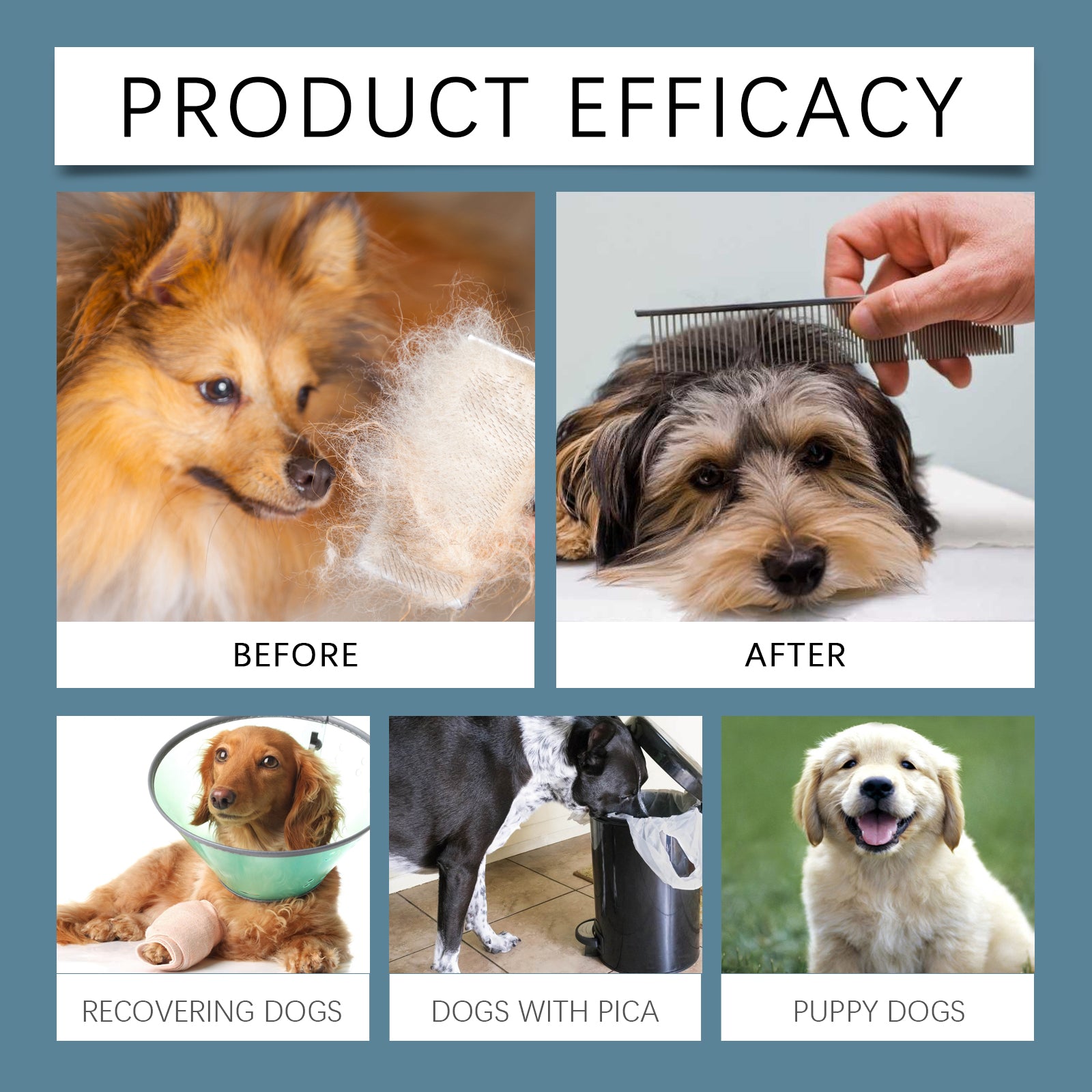 Calcium & Magnesium Minerals for Dogs - product view 4