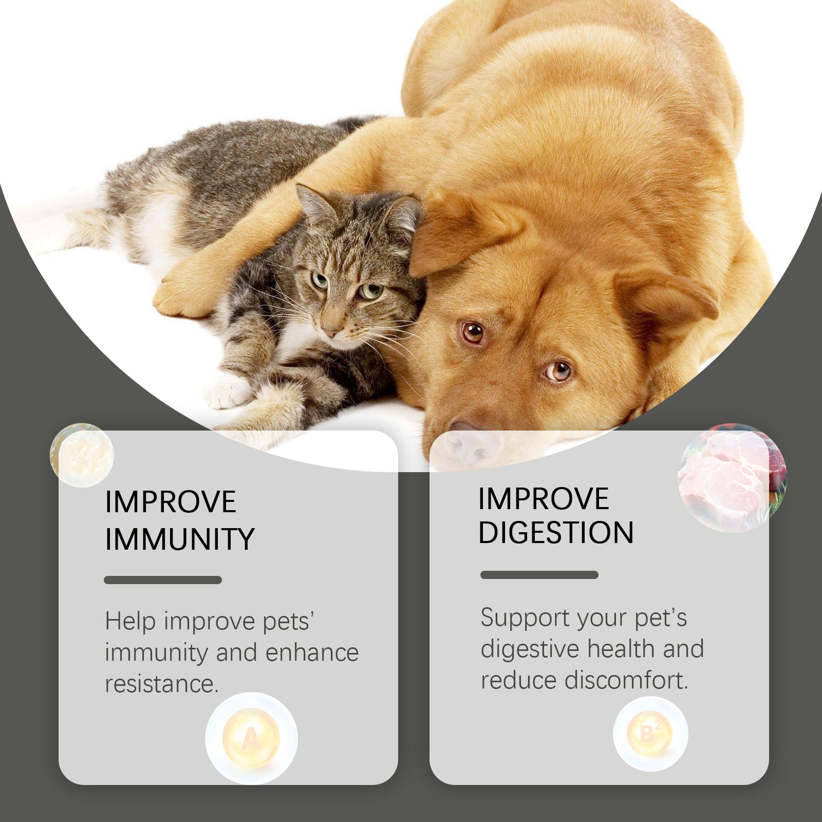 Probiotic Nutrition Tablets for Dogs & Cats - product view 5
