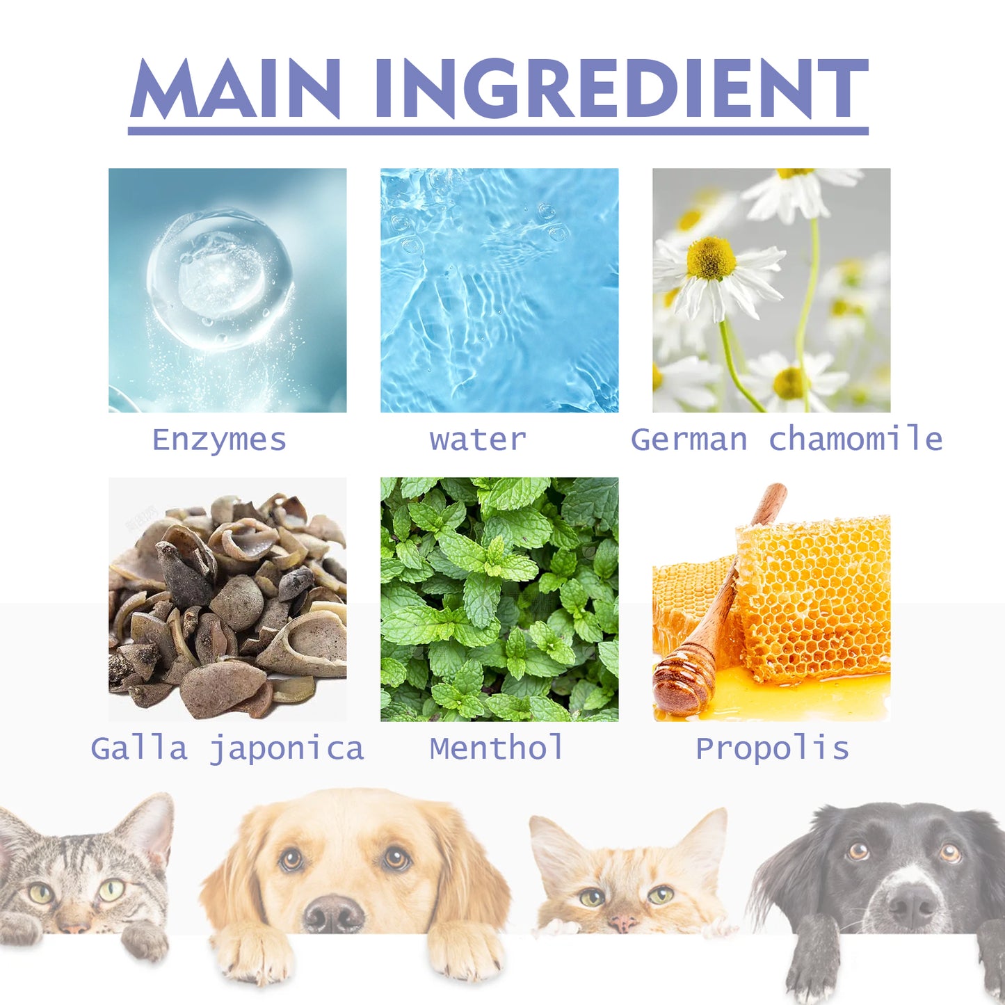 Pet Tooth Cleaning Spray for Fresh Breath - product view 6