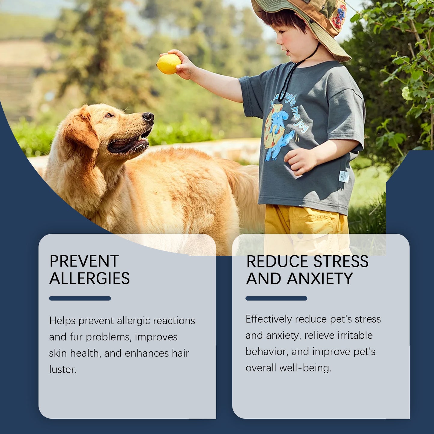 Immune Support Food Supplement for Dogs - product view 4