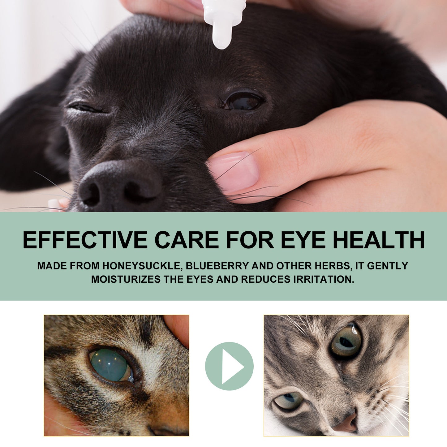 Pet Eye Care Drops for Dogs & Cats - product view 4
