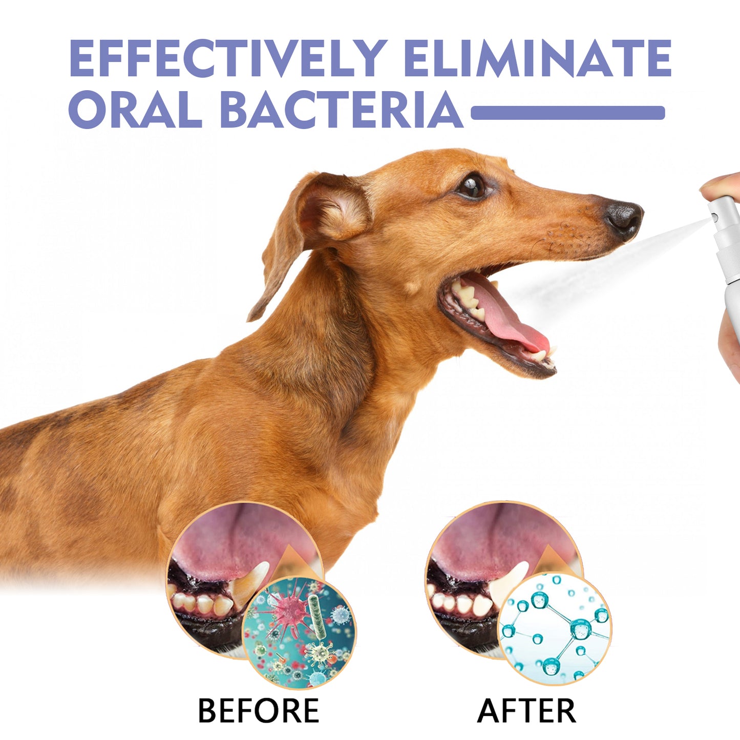 Dental Cleaning Spray for Dogs & Cats - product view 4