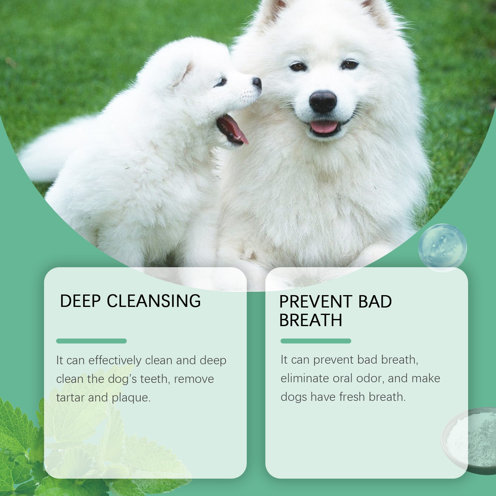 Dog Tooth Cleaning Powder for Fresh Breath - product view 3