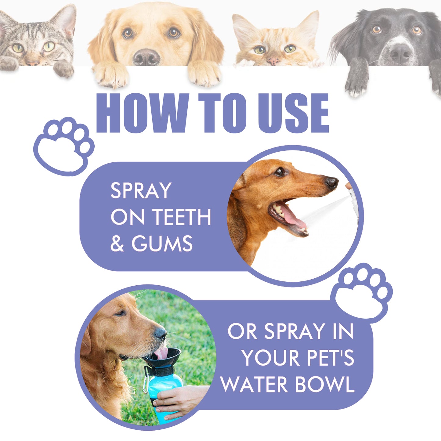 Dental Cleaning Spray for Dogs & Cats - product view 7