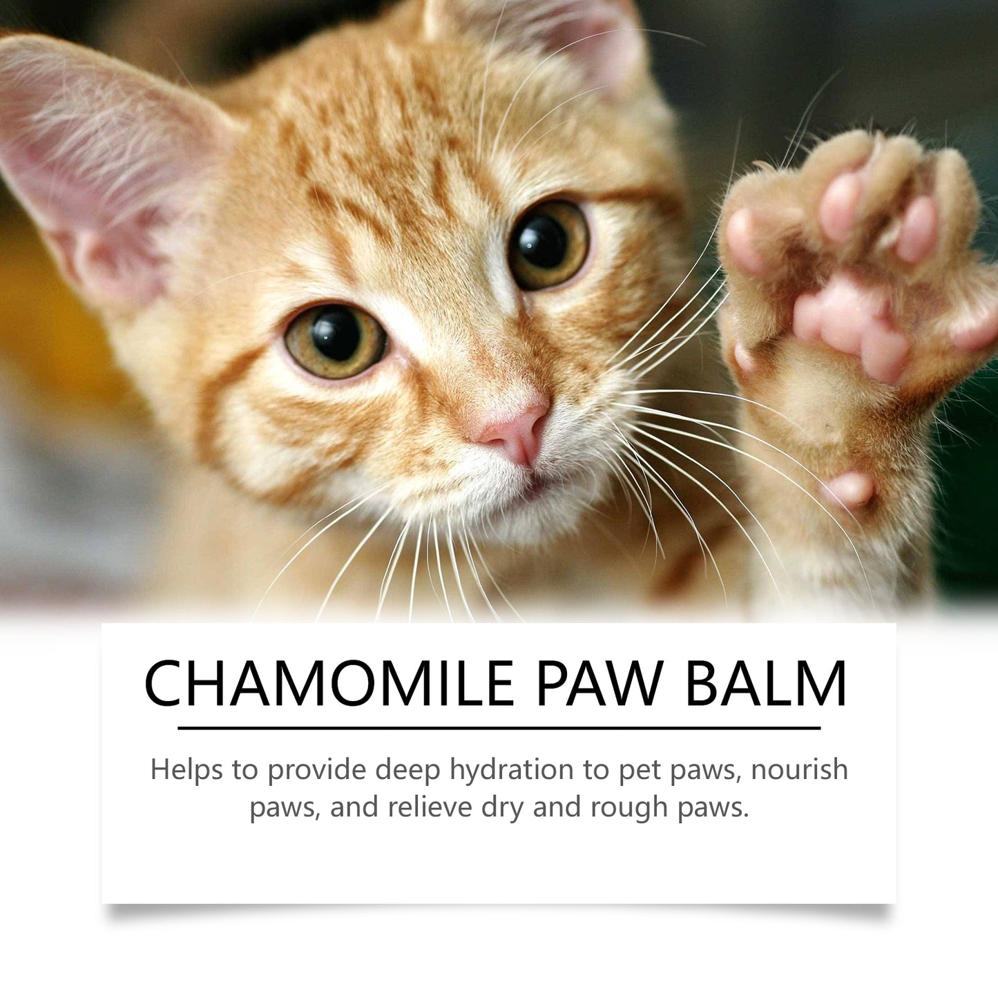 Paw & Claw Care Cream for Dogs and Cats - product view 4