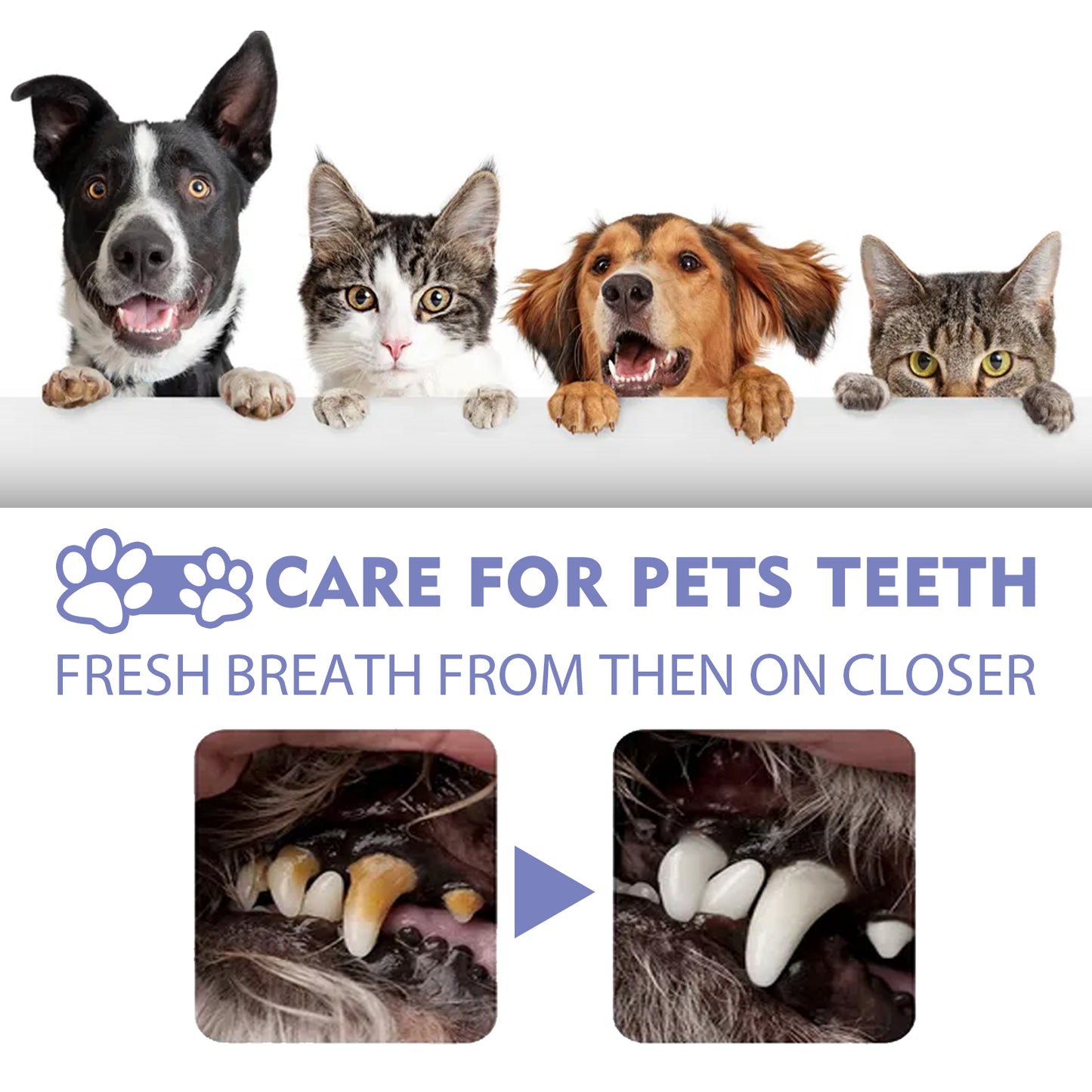 Pet Tooth Cleaning Spray for Fresh Breath - product view 5