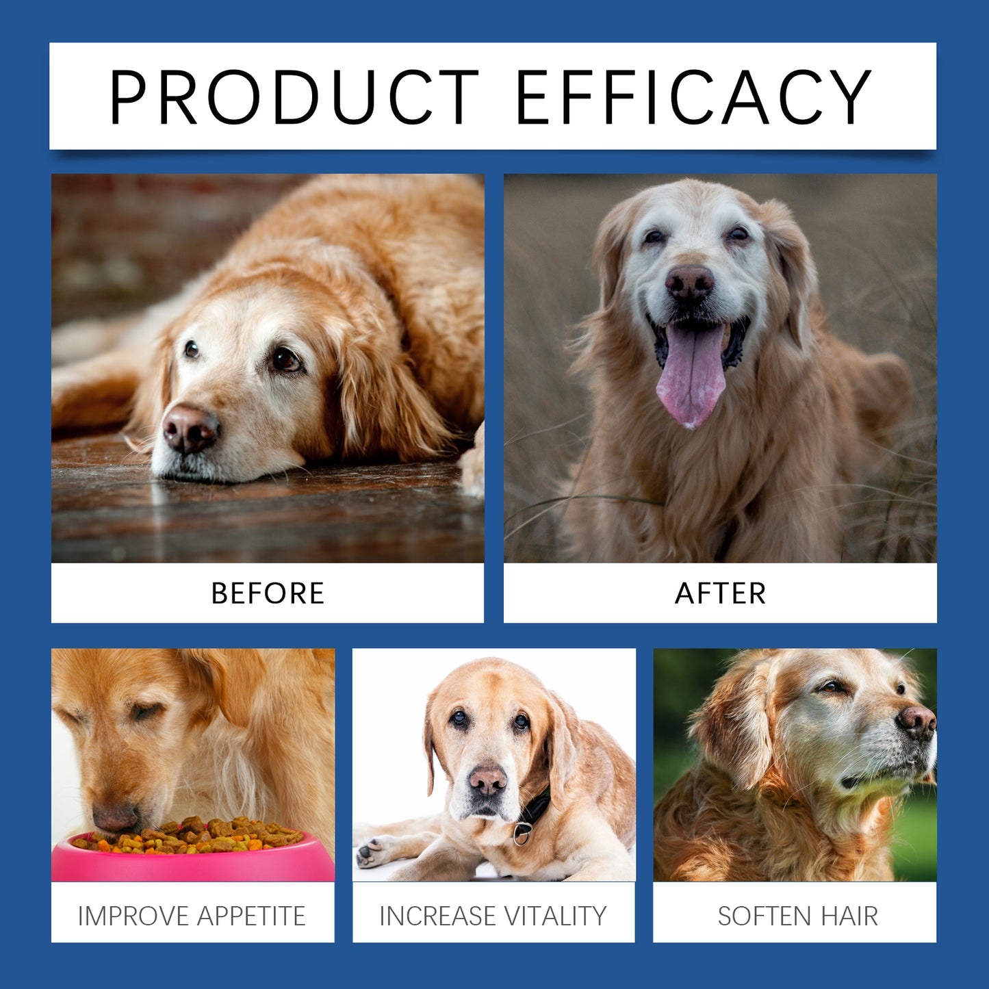 Trace Mineral Tablets for Senior Dogs - product view 4