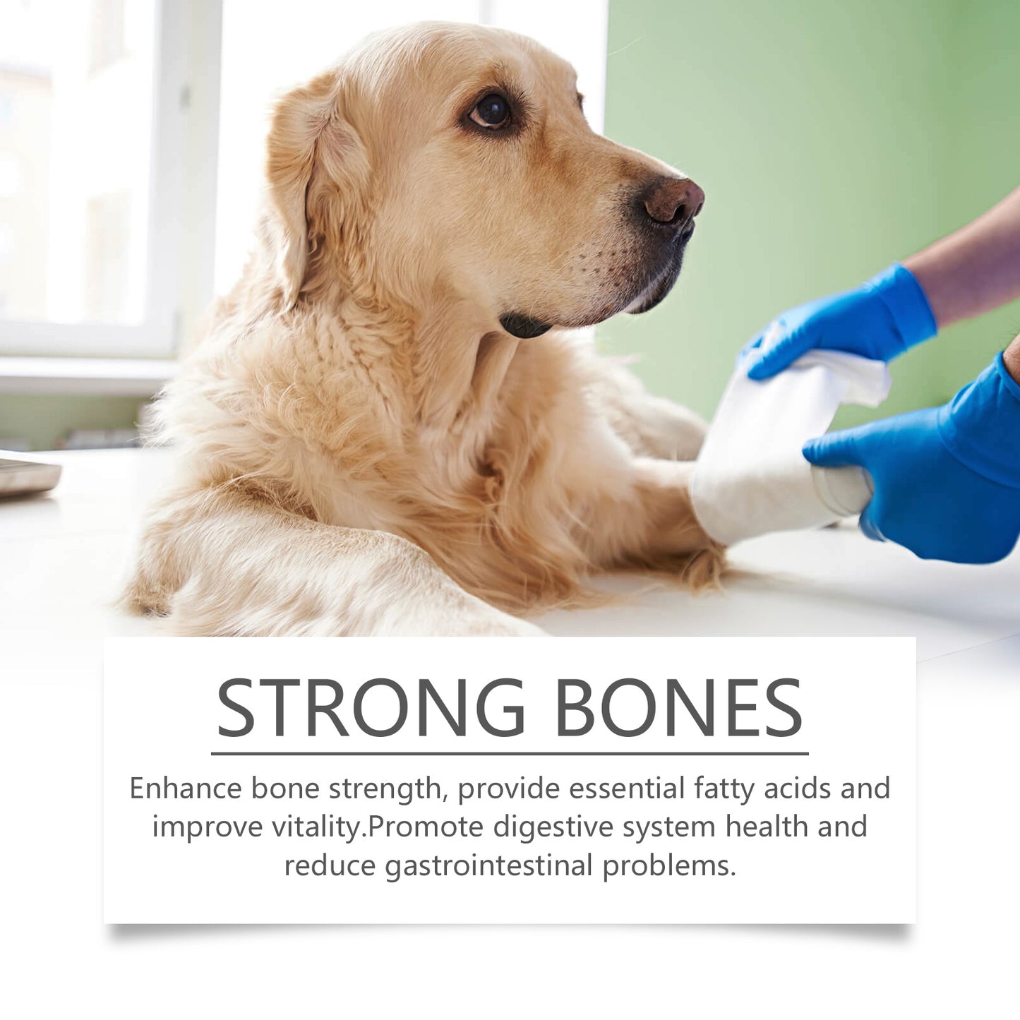 Fish Oil Tablets for Dogs - product view 5