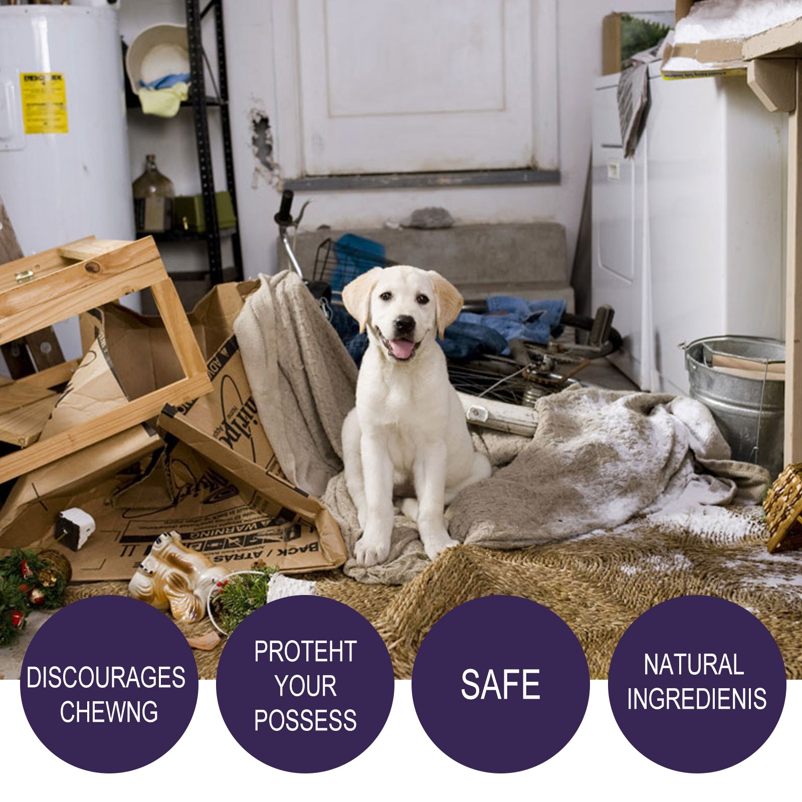 Pet Anti-Chew Bitter Spray for Home Use - product view 5