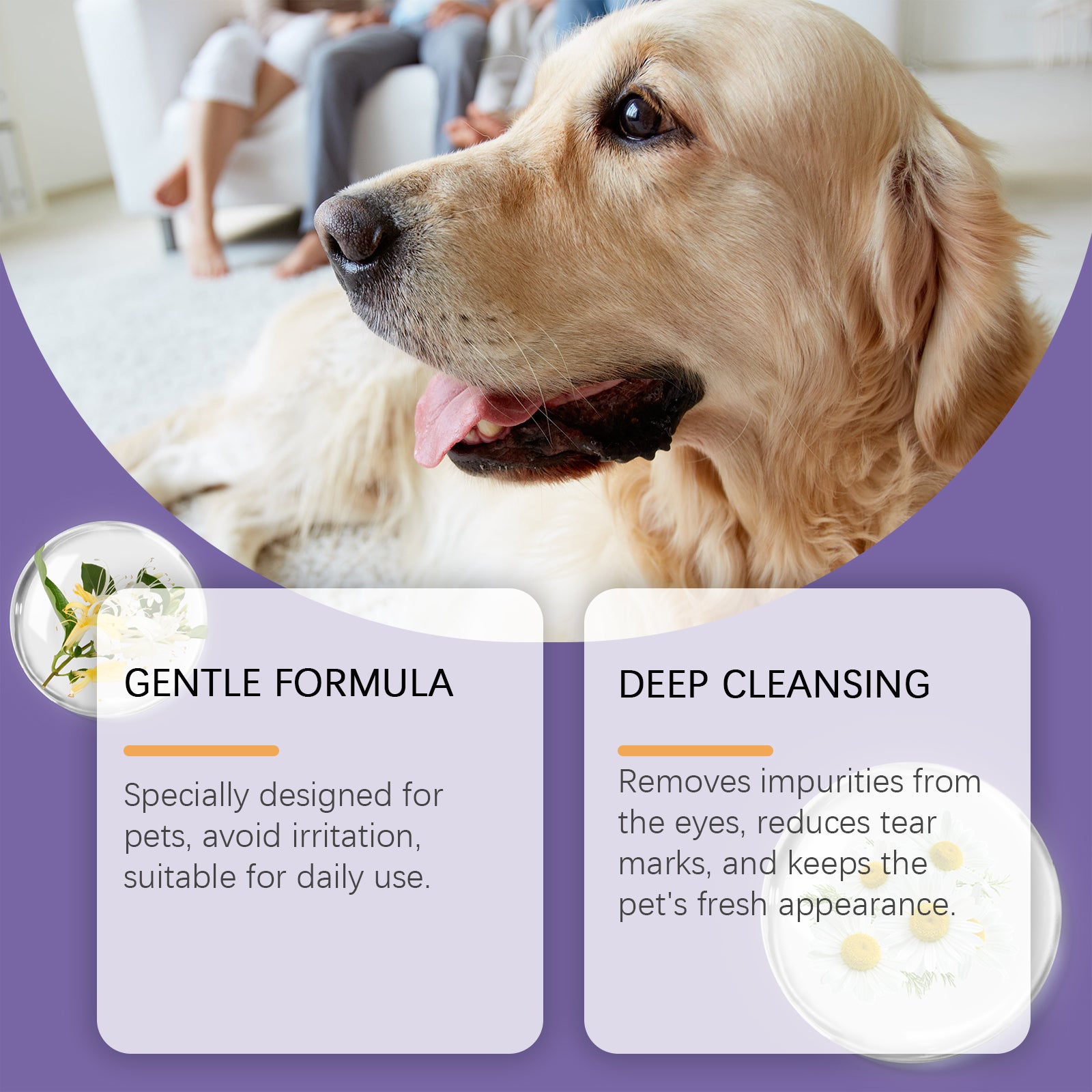 Gentle Eye Wash for Dogs & Cats - product view 4