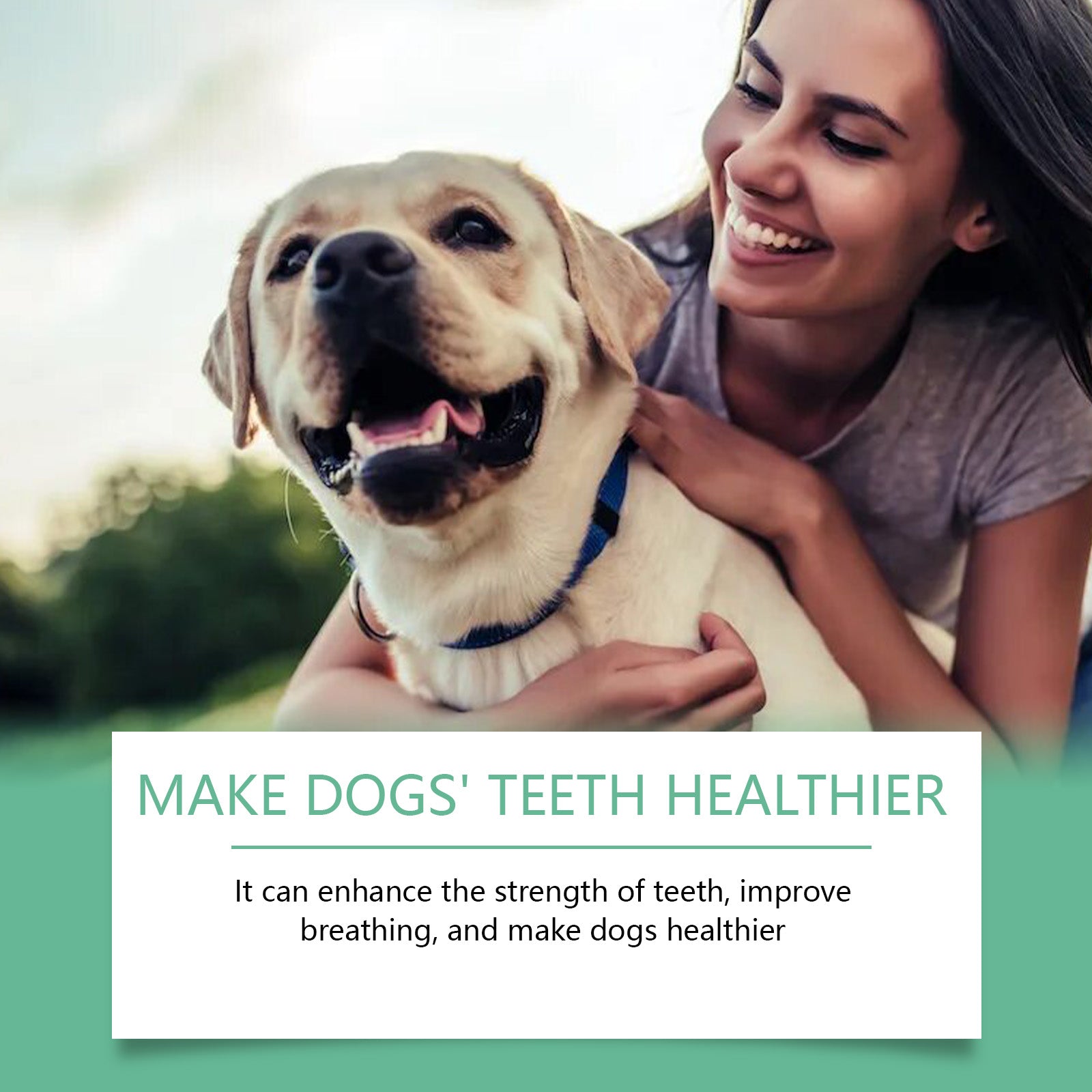 Dog Tooth Cleaning Powder for Fresh Breath - product view 4