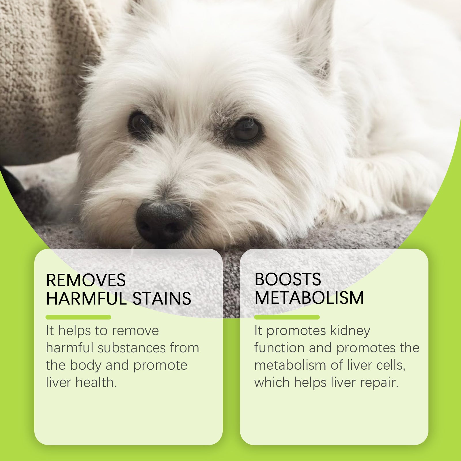Dog Nutrition Care Drops - product view 4