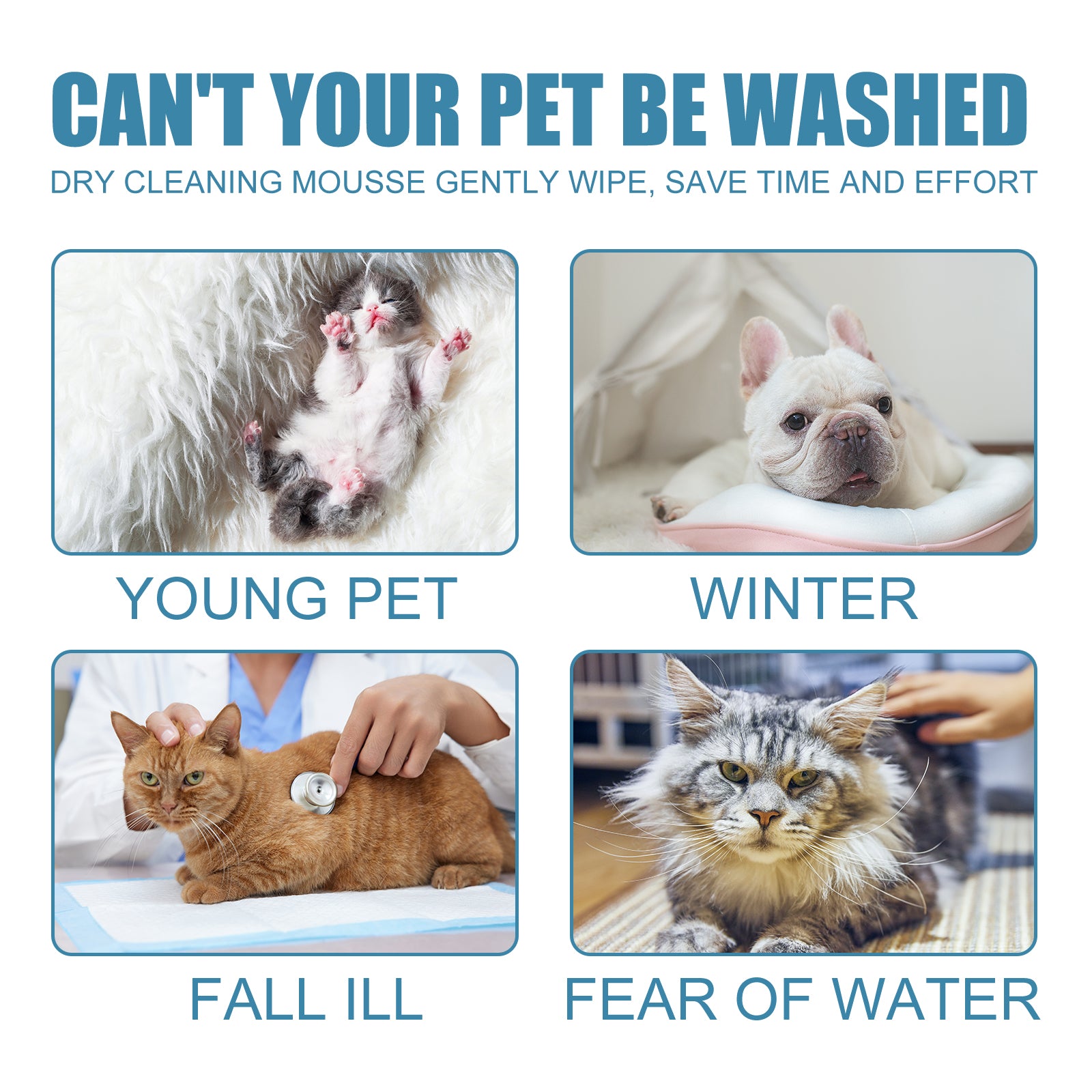 No-Rinse Dry Shampoo Mousse for Pets - product view 4