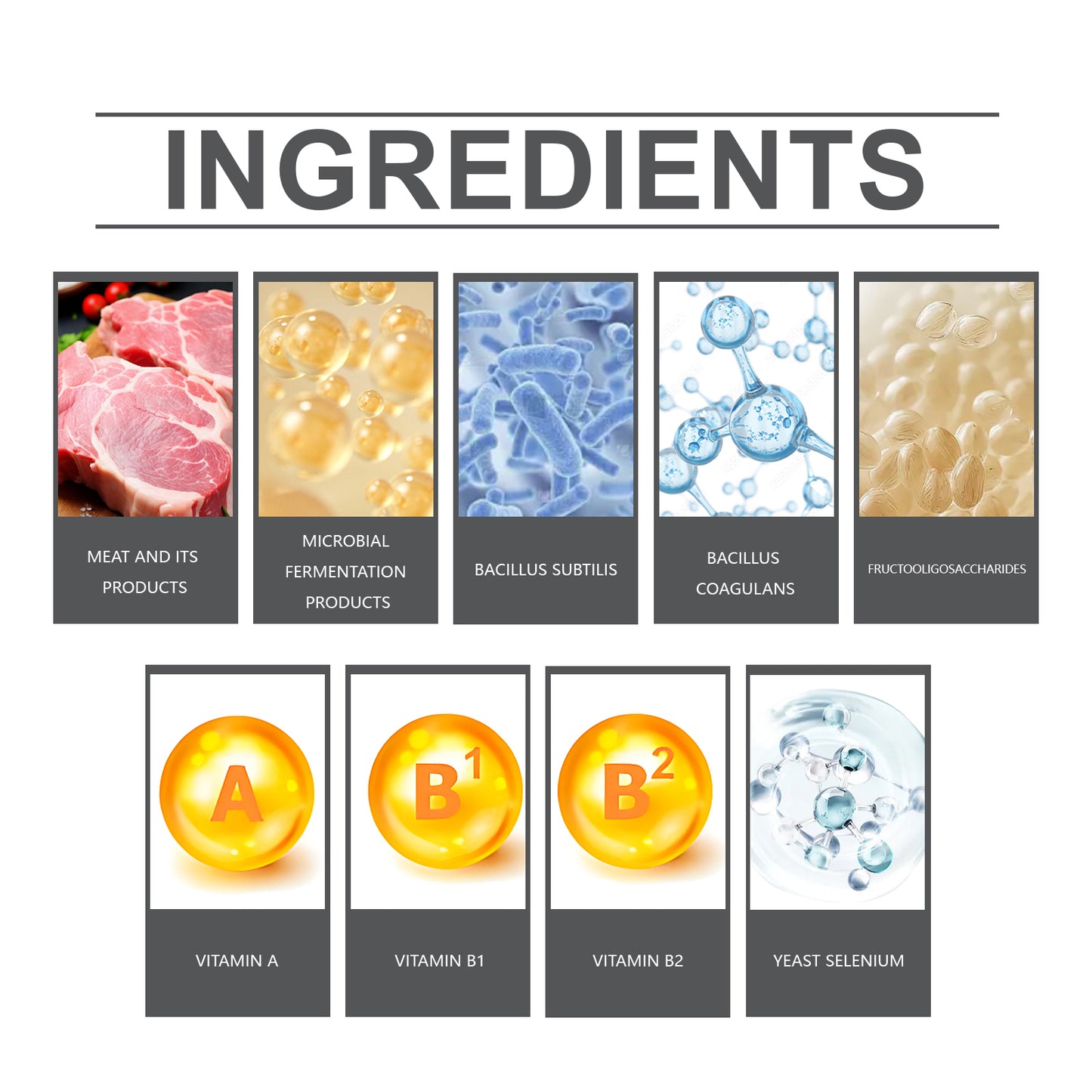 Probiotic Nutrition Tablets for Dogs & Cats - product view 6