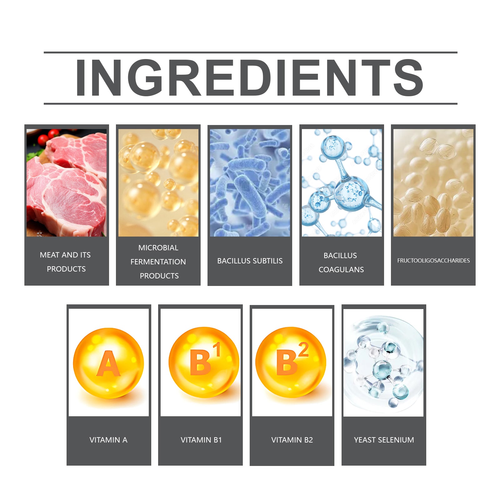 Probiotic Nutrition Tablets for Dogs & Cats - product view 6