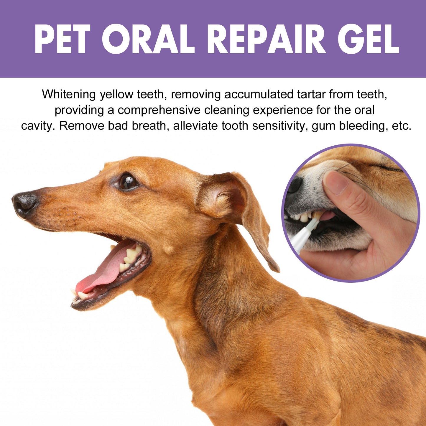 Pet Oral Care Gel for Dogs & Cats - product view 3