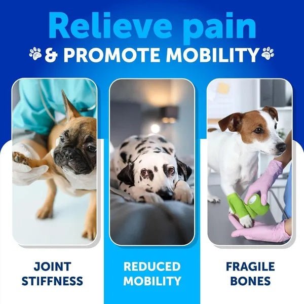 Artullano Hemp Hip & Joint Supplement for Dogs - Prime Essentials