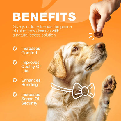 Dog Allergy Relief Chews - Anti-Itch Salmon Oil - Prime Essentials