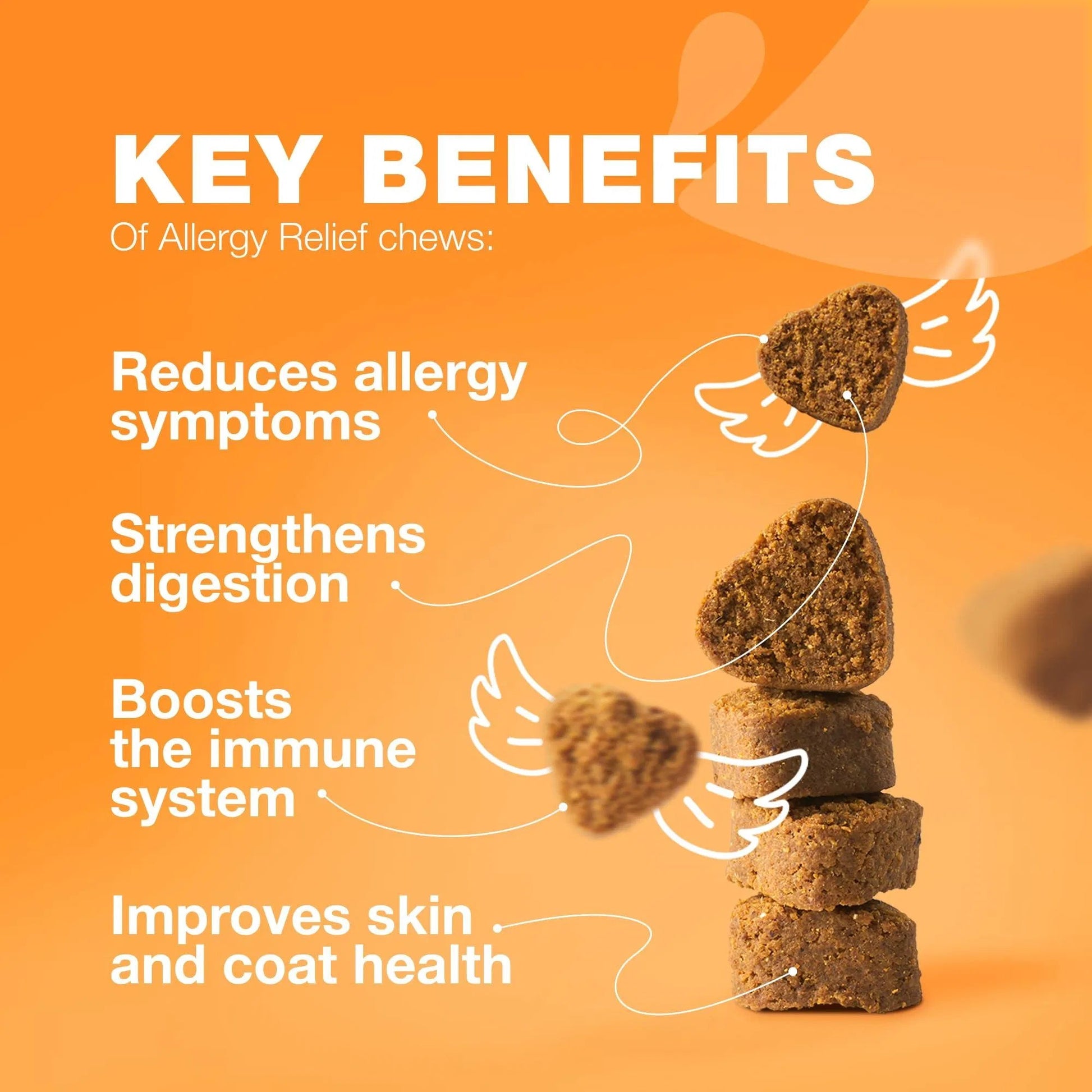 Dog Allergy Relief Chews - Anti-Itch Salmon Oil - Prime Essentials