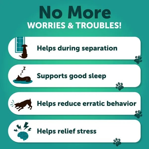 Hemp Calming Chews for Dogs - Anxiety Relief Treats - Prime Essentials