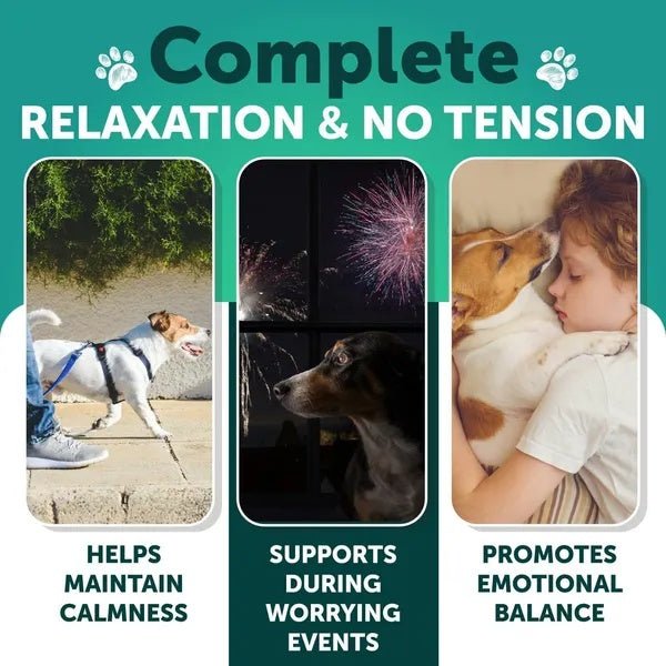 Hemp Calming Chews for Dogs - Anxiety Relief Treats - Prime Essentials