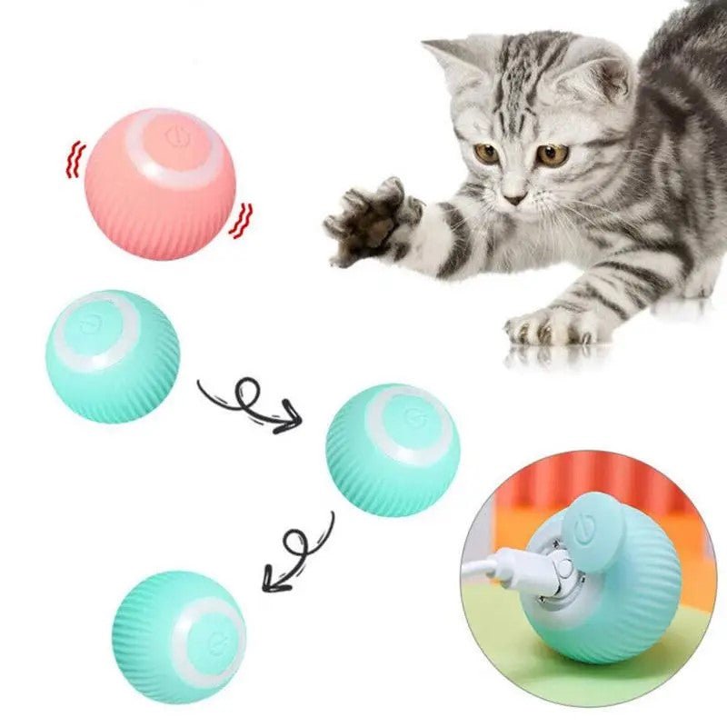 Interactive Rolling Pet Ball for Dogs & Cats - Prime Essentials