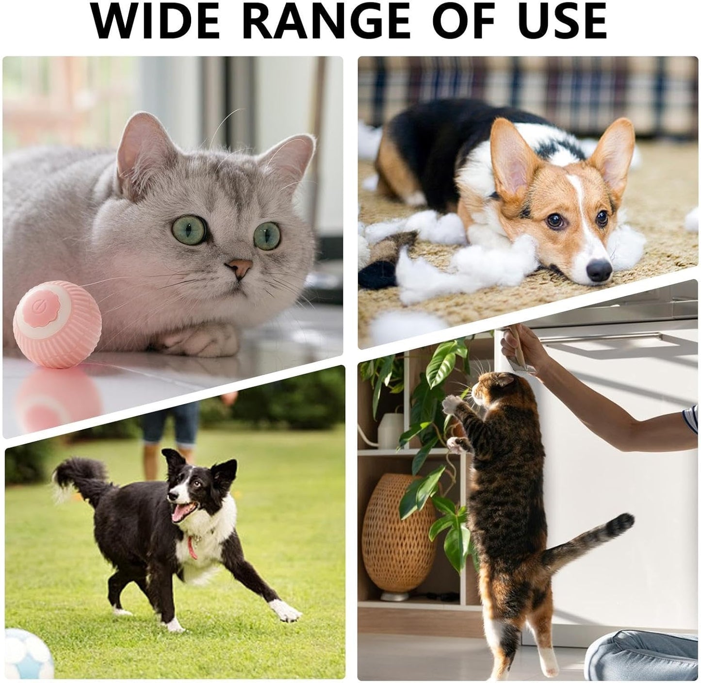 Interactive Rolling Pet Ball for Dogs & Cats - Prime Essentials