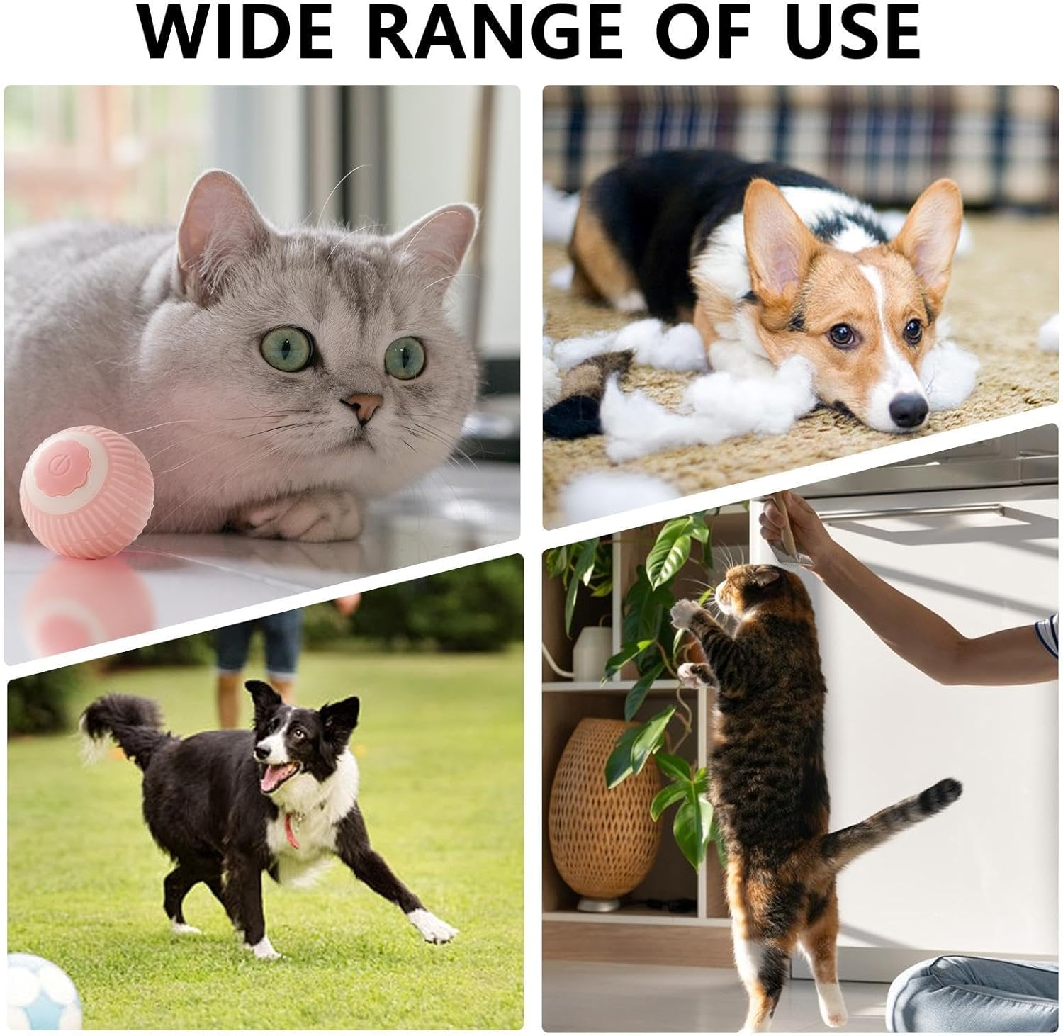 Interactive Rolling Pet Ball for Dogs & Cats - Prime Essentials