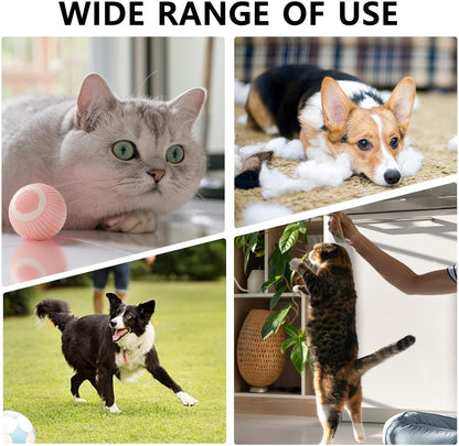 Interactive Rolling Pet Ball for Dogs & Cats - Prime Essentials