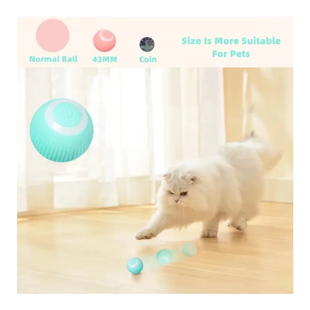 Interactive Rolling Pet Ball for Dogs & Cats - Prime Essentials