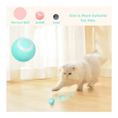 Interactive Rolling Pet Ball for Dogs & Cats - Prime Essentials