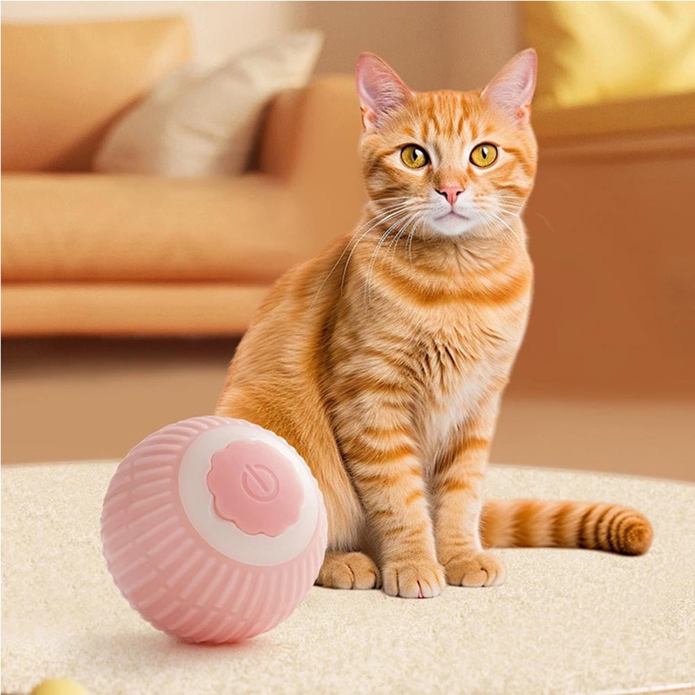 Interactive Rolling Pet Ball for Dogs & Cats - Prime Essentials