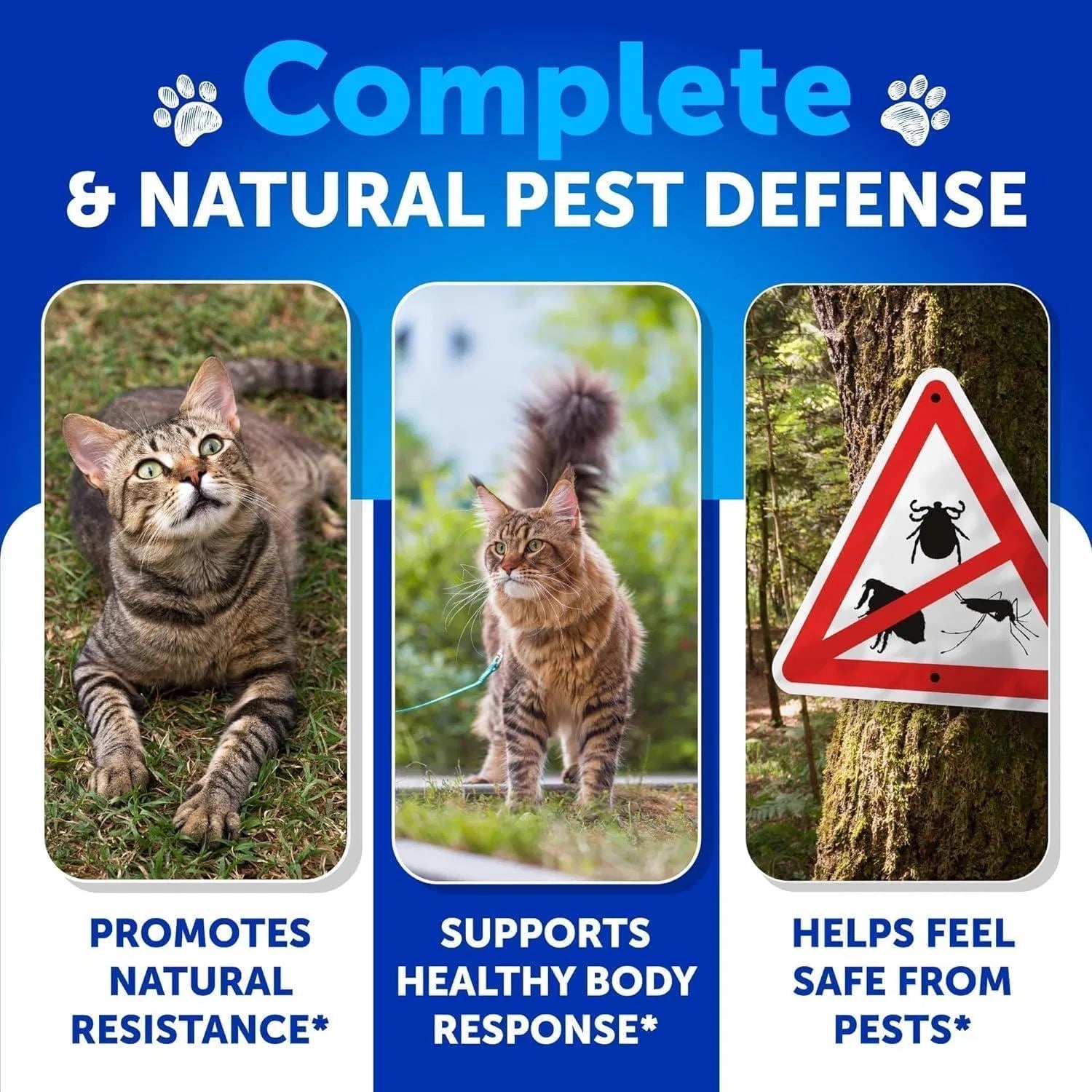 Natural Flea & Tick Treatment for Cats | Artullano - Prime Essentials