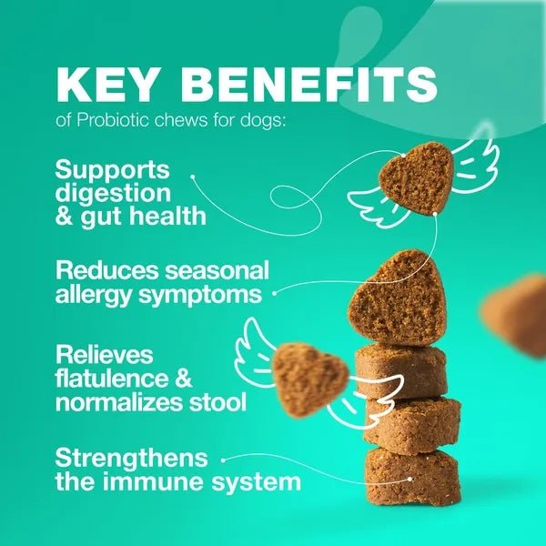 Probiotics for Dogs - Gut Health Chews - Prime Essentials
