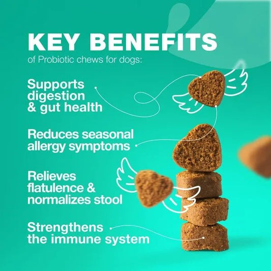 Probiotics for Dogs - Gut Health Chews - Prime Essentials