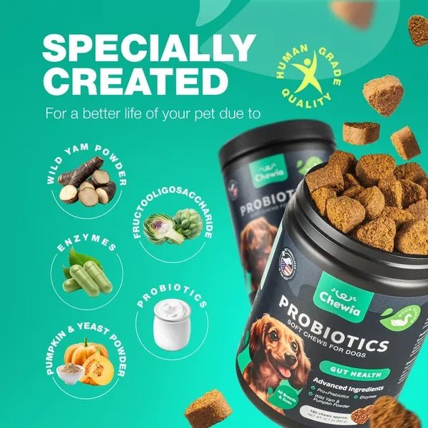 Probiotics for Dogs - Gut Health Chews - Prime Essentials