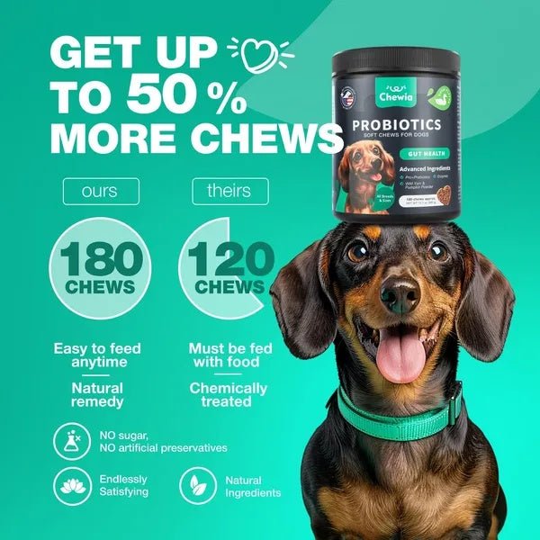 Probiotics for Dogs - Gut Health Chews - Prime Essentials