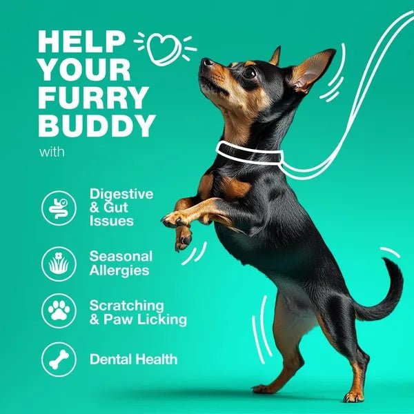 Probiotics for Dogs - Gut Health Chews - Prime Essentials