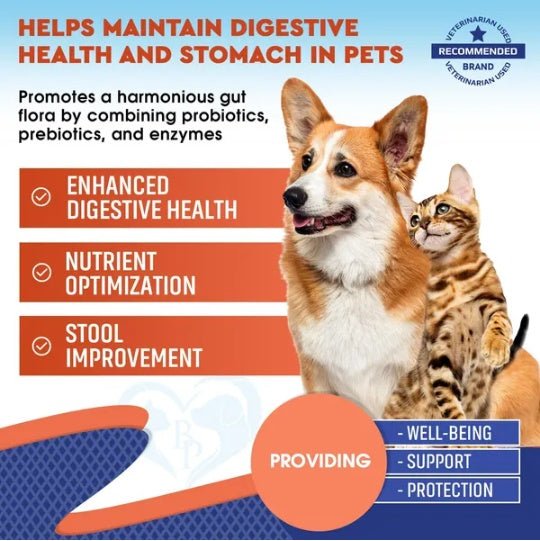 Probiotics Prebiotics With Enzymes For Dogs And Cats Digestive Gut Flora Health Pet Food Supplements - Prime Essentials