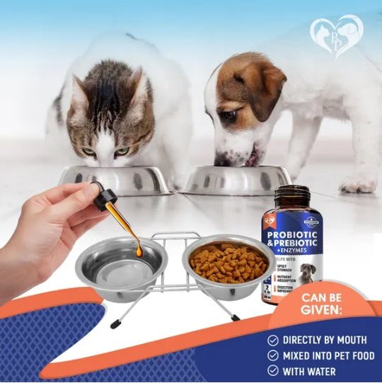 Probiotics Prebiotics With Enzymes For Dogs And Cats Digestive Gut Flora Health Pet Food Supplements - Prime Essentials