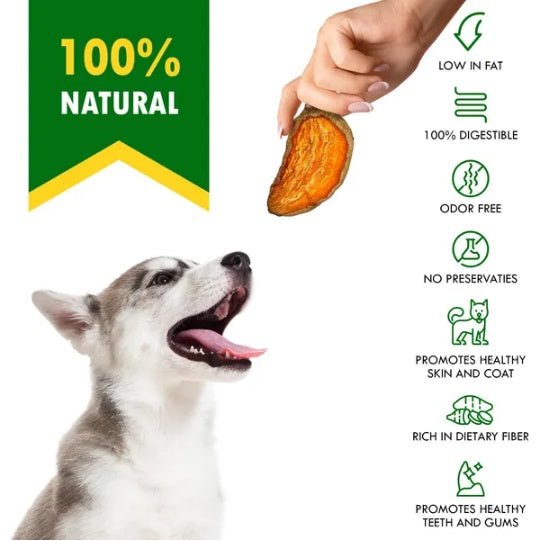 Sweet Potato Chips Treats For Dogs 10.6 Oz 300 G - Prime Essentials